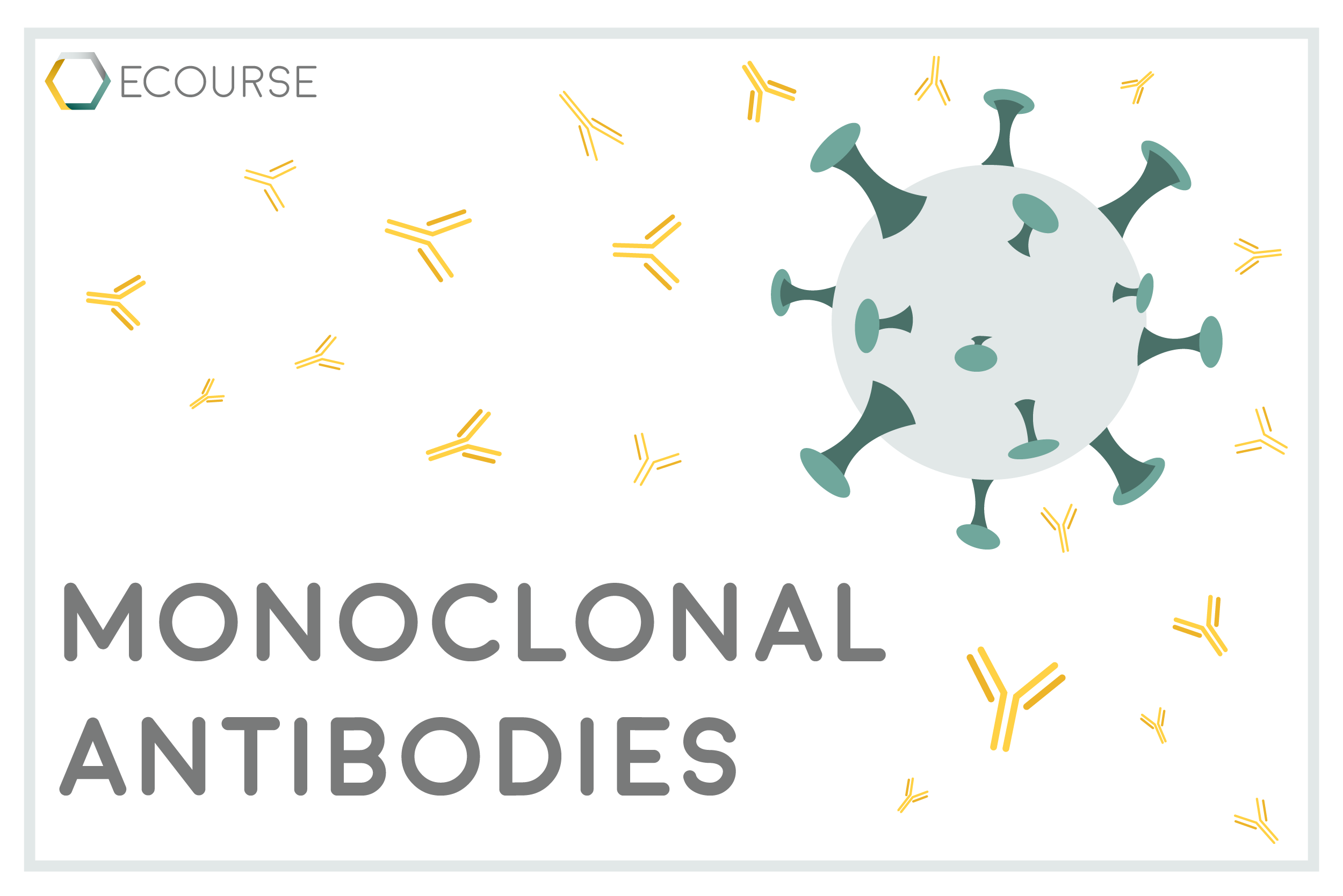 Monoclonal Antibodies rxtoolkit
